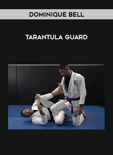 Dominique Bell - Tarantula Guard of https://crabaca.store/