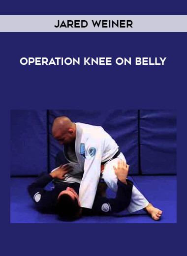 Jared Weiner - Operation knee on Belly of https://crabaca.store/