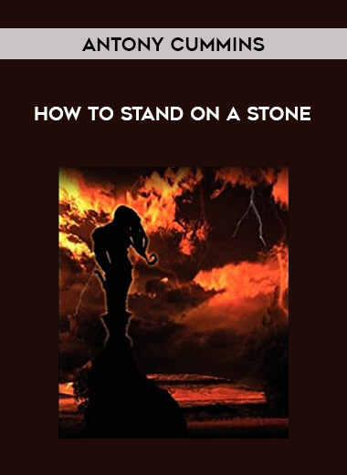 Antony Cummins - How To Stand On A Stone of https://crabaca.store/