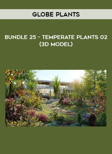 Globe Plants - Bundle 25 - Temperate Plants 02 (3D Model) of https://crabaca.store/