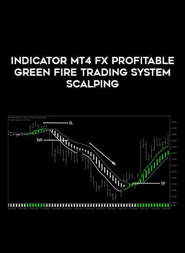 Indicator MT4 Fx Profitable Green Fire Trading System Scalping of https://crabaca.store/