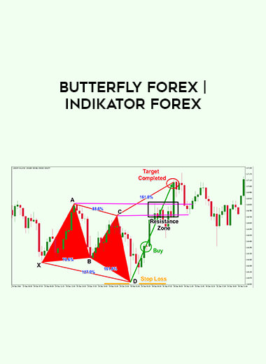 BUTTERFLY FOREX | INDIKATOR FOREX of https://crabaca.store/