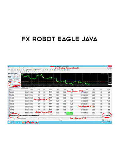 Fx Robot Eagle Java of https://crabaca.store/