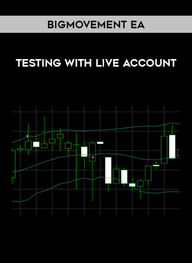 BigMovement EA - Testing with live account of https://crabaca.store/