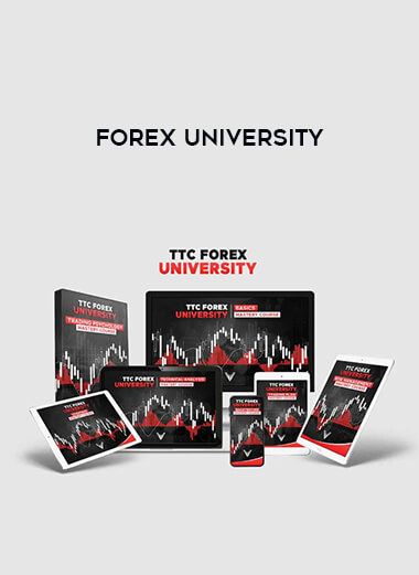 Forex University of https://crabaca.store/